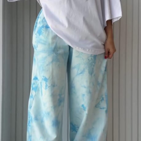 CWTS01
